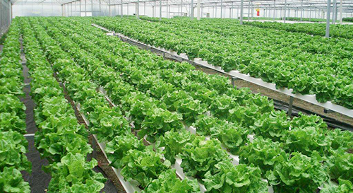 1594717024378749.jpg timg (1).jpg